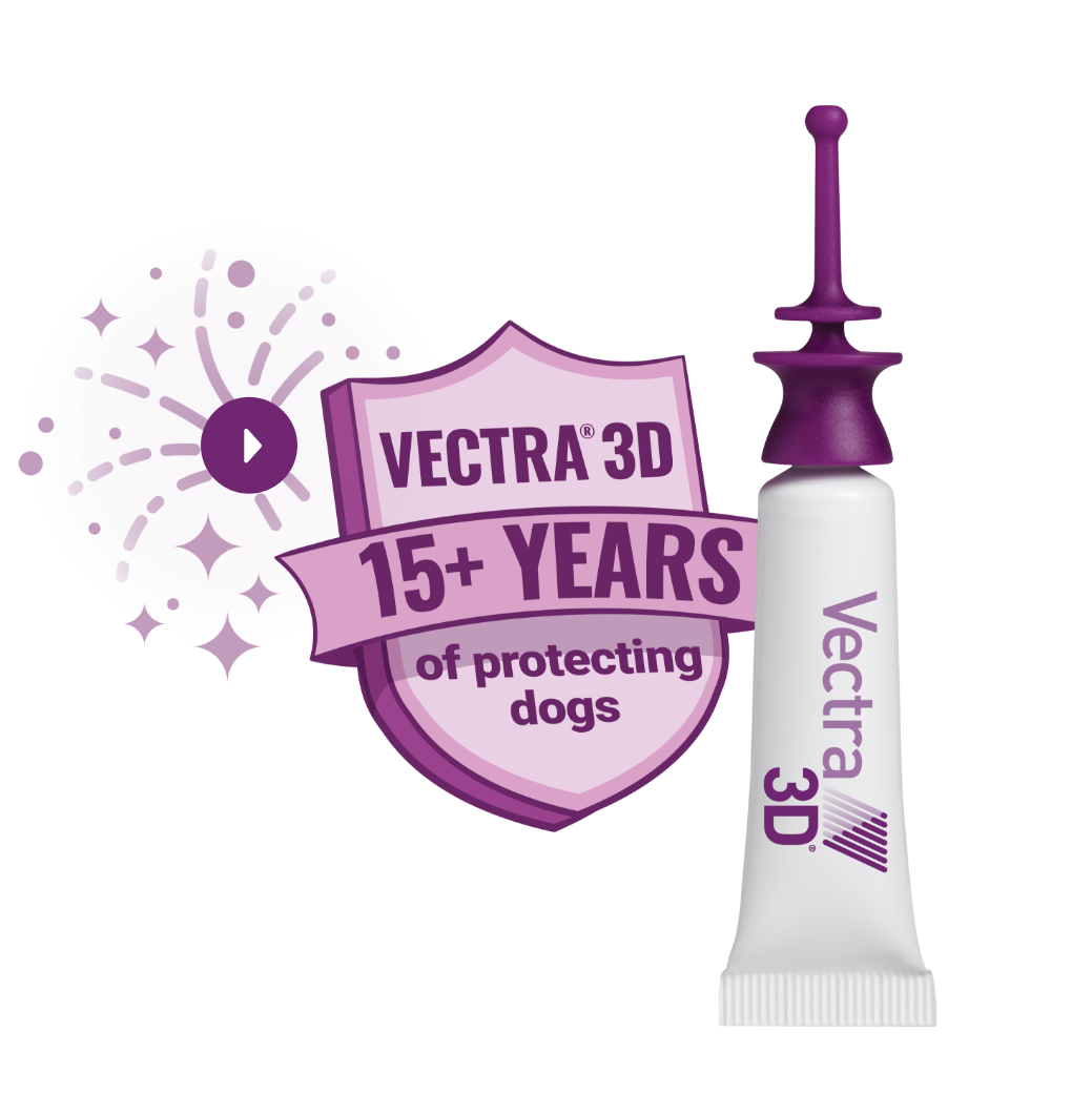 Vectra® 3D | 15+ years of protecting dogs | Play video